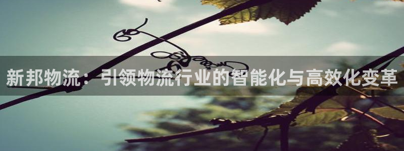 usdt官网钱包下载