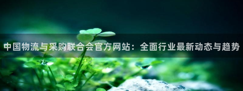 usdt地址查询余额平台