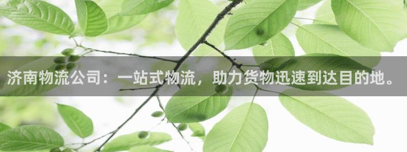 收售usdt犯法吗