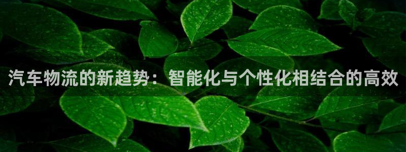 usdt钱包下载教程