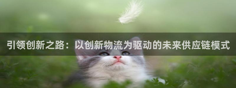 usdt一般用什么钱包
