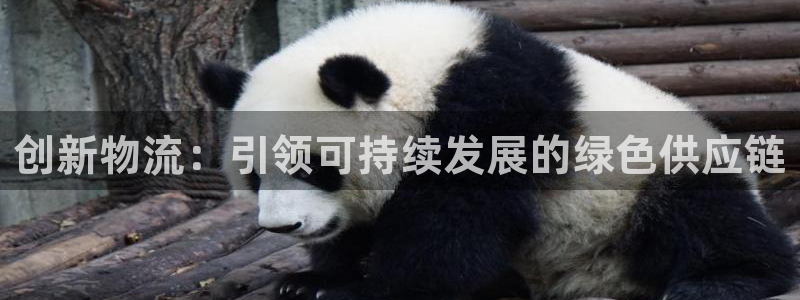 usdt钱包如何提款到支付宝
