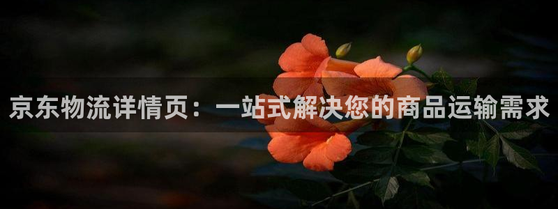 usdt 交易量