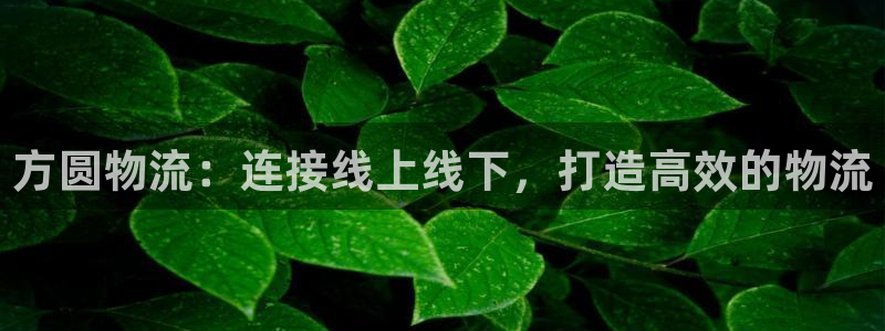 usdt官网下载6.1.42