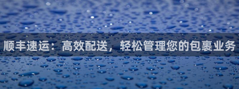 usdt中文版