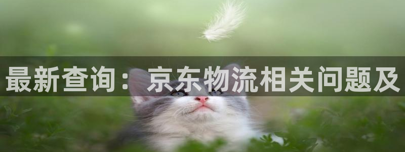 usdttrc20钱包下载官网