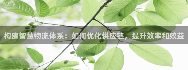 usdt教程