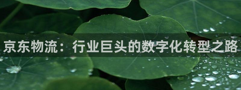 usdt 跨境赌博