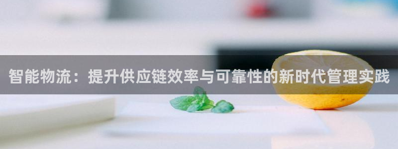 USDT官网赎回时间表：智能物流：提升供应链效率与可靠性的新