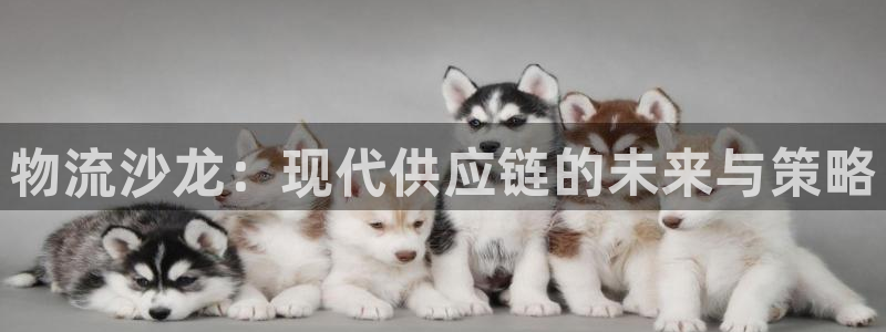 USDT账号激请码：物流沙龙：现代供应链的未来与策略