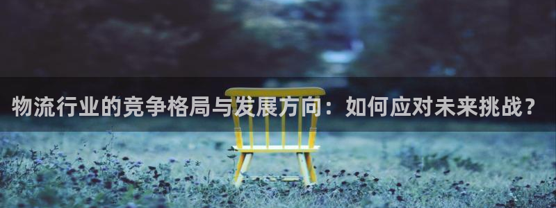 卖usdt被冻结：物流行业的竞争格局与发展方向：如何应对未来