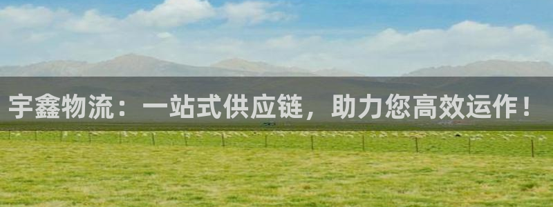 下载USDT钱包官方网站